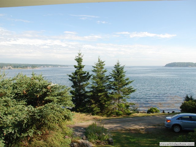July 27: view from the cottage.  View over the pines is due south and straight to the ocean.