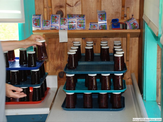 July 31: Their daily jam production is about 300 jars like the ones you see cooling here.