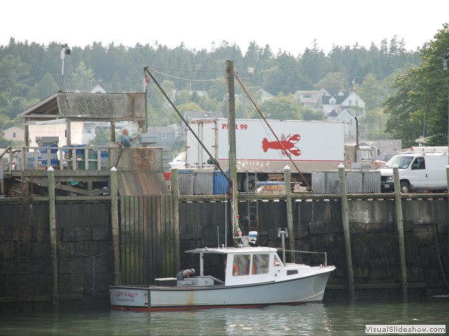 July 31: unloading lobster at Stonington.