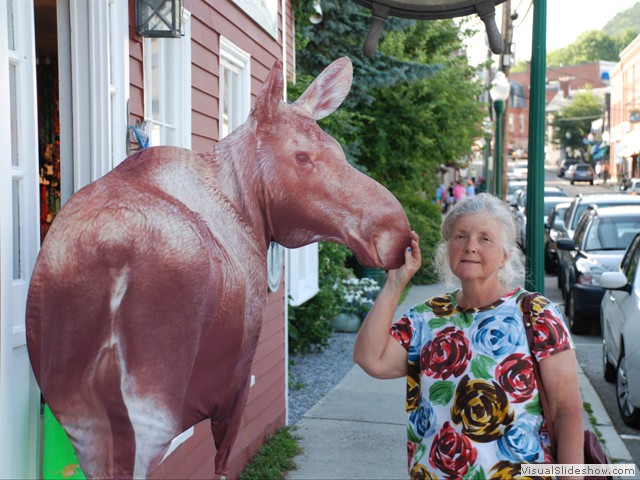 August 1: Nancy finally sees a moose.  Downtown Camden.