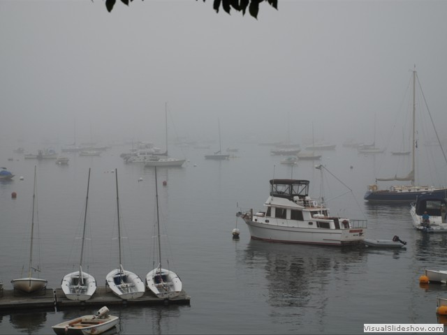 August 2:  Thursday morning fog in Camden harbor.