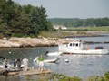 July 27: harbor near the cottage