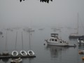 August 2:  Thursday morning fog in Camden harbor.
