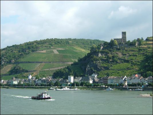 Rhine river cruise