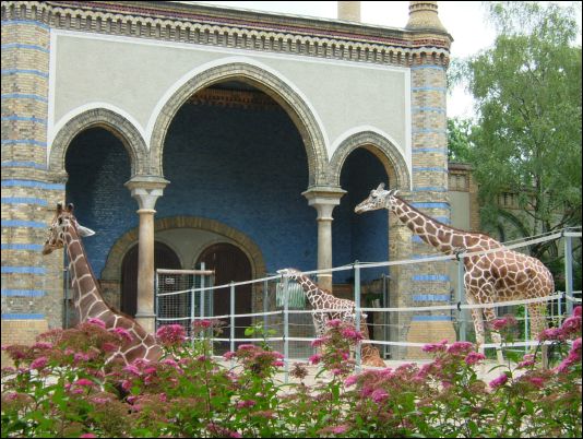 Berlin zoo