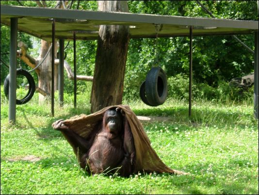 Berlin zoo