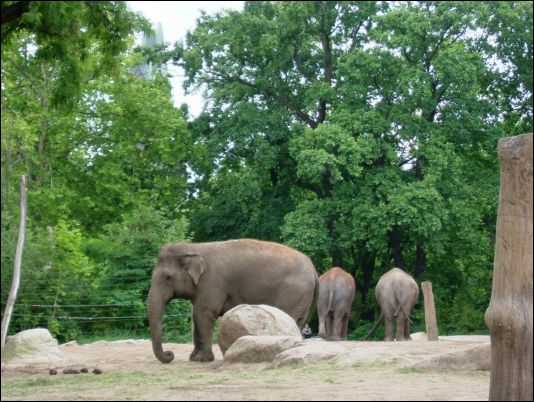 Berlin zoo