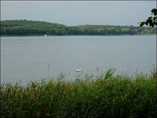 lake in Potsdam