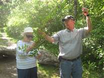 Click for large image