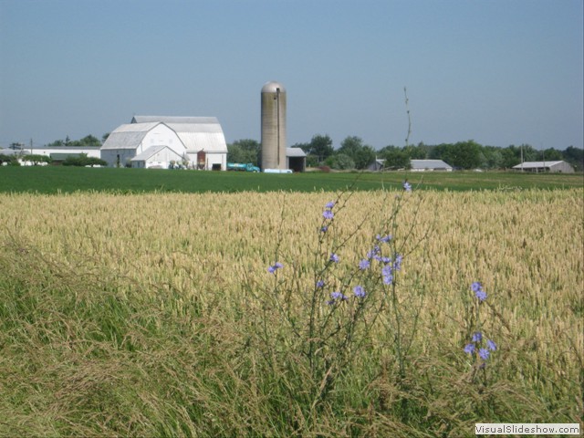 Wednesday: The flat landcape was dotted with silos and steeples.