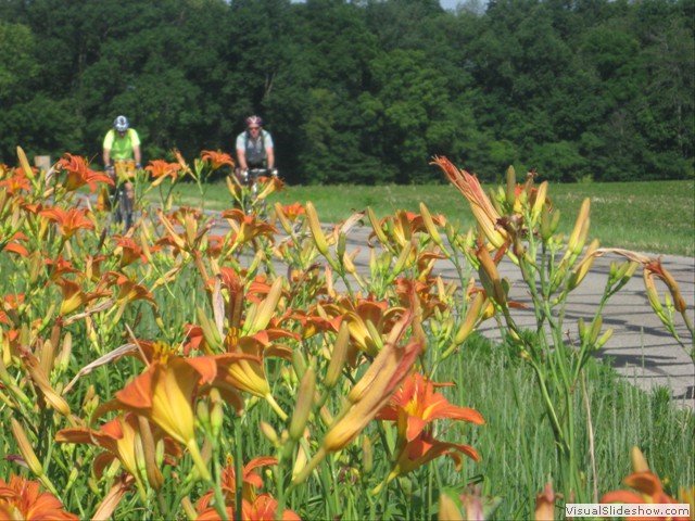 Friday: Ditch lilies were in bloom throughout the trip