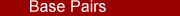 Base Pairs