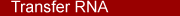 Transfer RNA