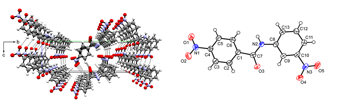 Packing and ORTEP diagrams of a benzamide derivative